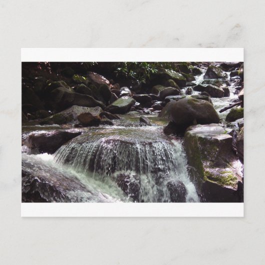 Glyphosat-Free Tennessee Weihnachtskarte Postkarte (Vorderseite)