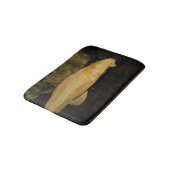 Glyptoperichthys gibbiceps badematte (Schrägansicht)