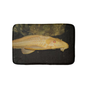 Glyptoperichthys gibbiceps badematte