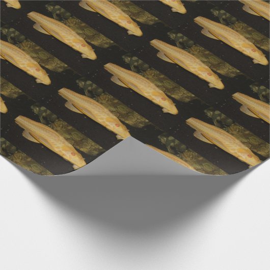 Glyptoperichthys gibbiceps geschenkpapier (Ecke)