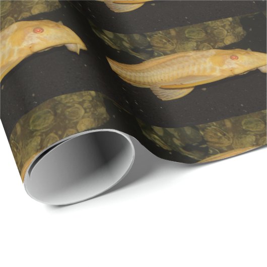 Glyptoperichthys gibbiceps geschenkpapier (Rolleneckpunkt)