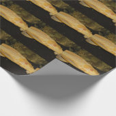 Glyptoperichthys gibbiceps geschenkpapier (Ecke)