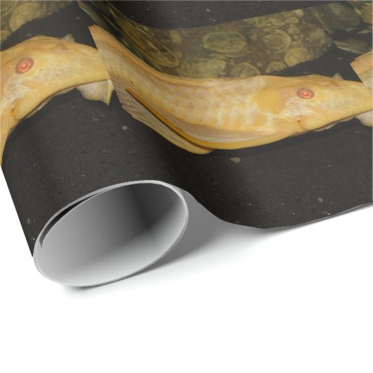 Glyptoperichthys gibbiceps geschenkpapier (Rolleneckpunkt)