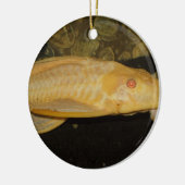 Glyptoperichthys gibbiceps keramikornament (Links)