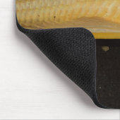 Glyptoperichthys gibbiceps mousepad (Ecke)