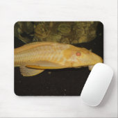 Glyptoperichthys gibbiceps mousepad (Mit Mouse)