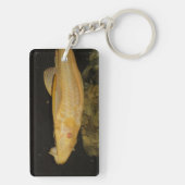 Glyptoperichthys gibbiceps schlüsselanhänger (Rückseite)