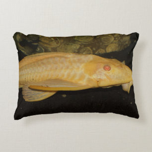 Glyptoperichthys gibbiceps zierkissen