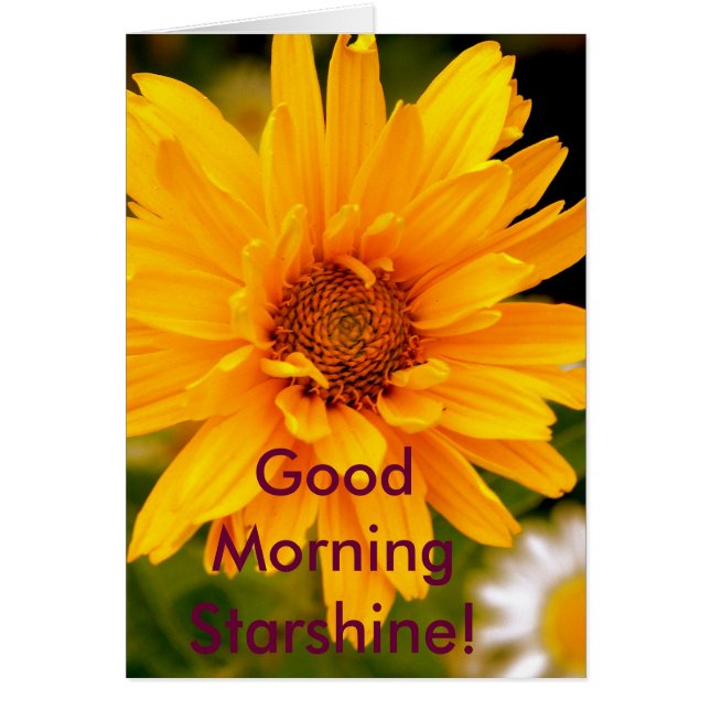 G'Morning Starshine (Vorne)