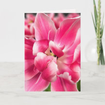 Gnade in jeder Jahreszeit | Rosa Tulpen-Faltgrußka