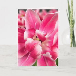 Gnade in jeder Jahreszeit   Rosa Tulpen-Faltgrußka Karte