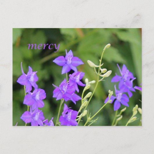 Gnade Postkarte (Vorderseite)