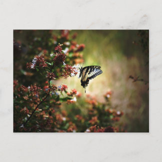 Gnadengeheimnis Postkarte