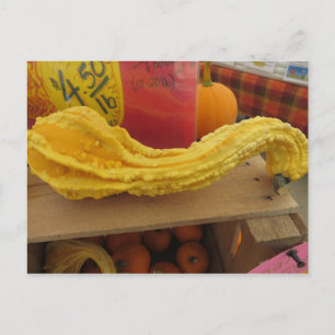 Gnarled Gourd Postkarte