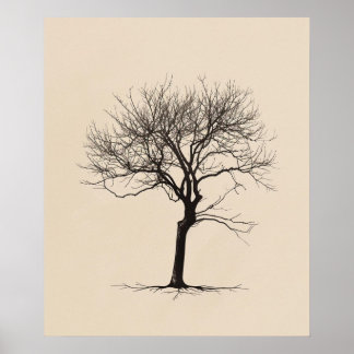 Gnarled-Kunst Poster