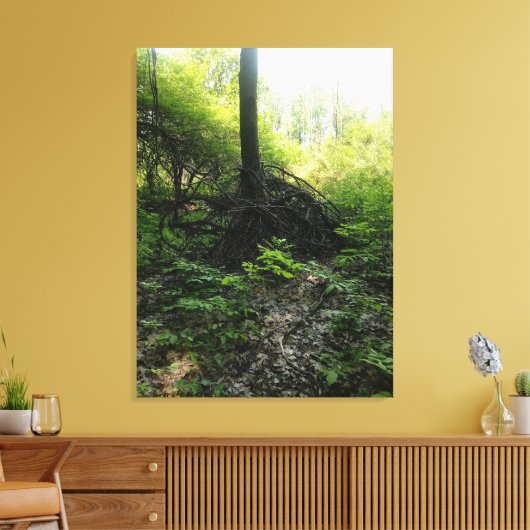 Gnarled Tree Base Leinwanddruck (Insitu (Wohnzimmer))