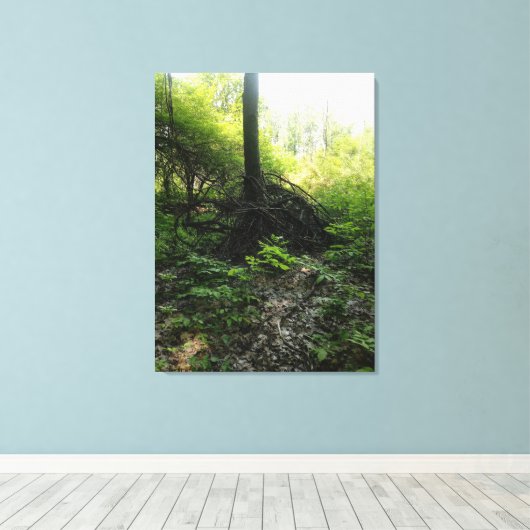 Gnarled Tree Base Leinwanddruck (Insitu (Holzboden))