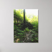 Gnarled Tree Base Leinwanddruck (Vorderseite)