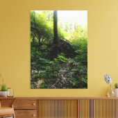 Gnarled Tree Base Leinwanddruck (Insitu (Wohnzimmer))