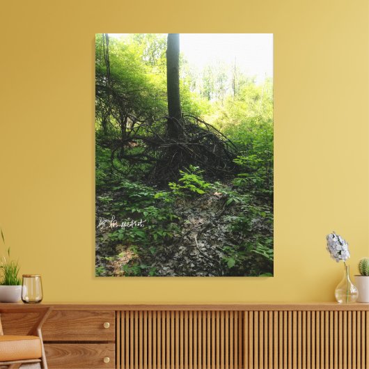 Gnarled Tree Base Leinwanddruck (Insitu (Wohnzimmer))