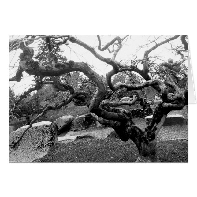 Gnarly Ahorn-12x18 Karte (Vorderseite (Horizontal))