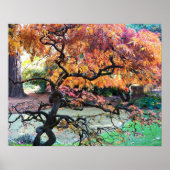 Gnarly Herbst Japanischer Ahornbaum Poster (Vorne)