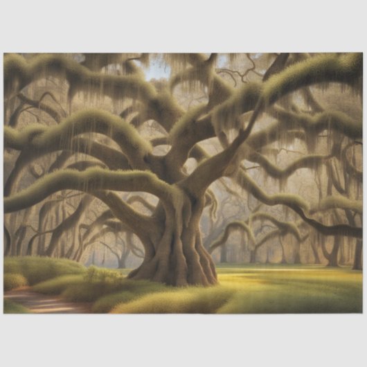 Gnarly Oak Spanish Moss Low Country Decoupage Seidenpapier (Vorderseite)