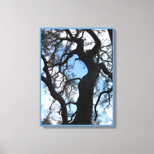 Gnarly Tree Foto Canvas Print (18X24) Leinwanddruck