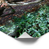 Gnarly Twisted Japanischer Ahornbaum Poster (Ecke)