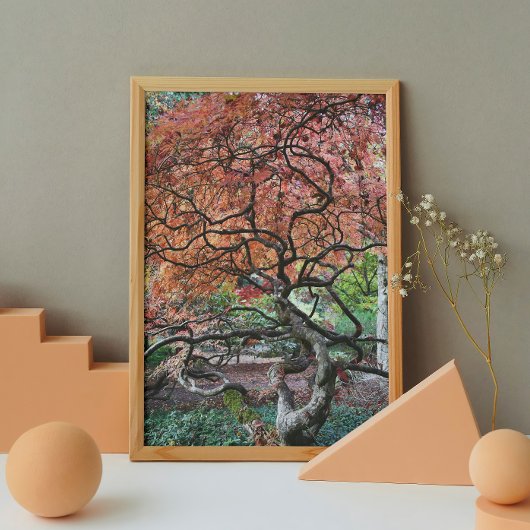 Gnarly Twisted Japanischer Ahornbaum Poster