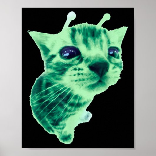 Gnarp Cat Albern Alien Cat Meme Brainrot Meme Funn Poster (Vorne)
