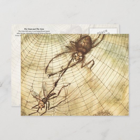 Gnat und Löwe Postkarte (Vorne/Hinten)