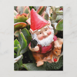 Gnom versteckt sich in den Sukkulenten Postkarte