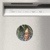 Gnome Carrot Magnet (In Situ (Geschirrspüler))