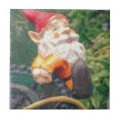 Gnome Hangs um Sukkulenten Fliese (Vorderseite)