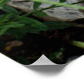 Gnome im Garten Poster (Ecke)