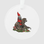 Gnome Riding a Sloth Ornament (Vorderseite)