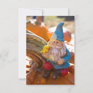 Gnome Stem II Karte