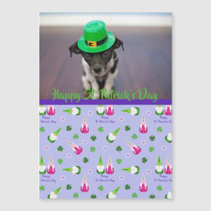 Gnome Toss St. Patrick's Day Magnetkarte