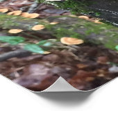 Gnome und die Putenpilze Schwanz Poster (Ecke)