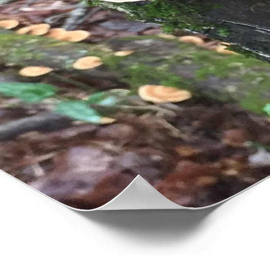 Gnome und die Putenpilze Schwanz Poster (Ecke)