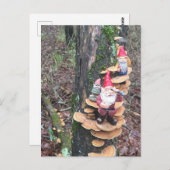 Gnome und die Putenpilze Schwanz Postkarte (Vorne/Hinten)