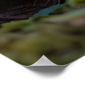 Gnome und ein Pilzhaus, Fantasy Design Poster (Ecke)
