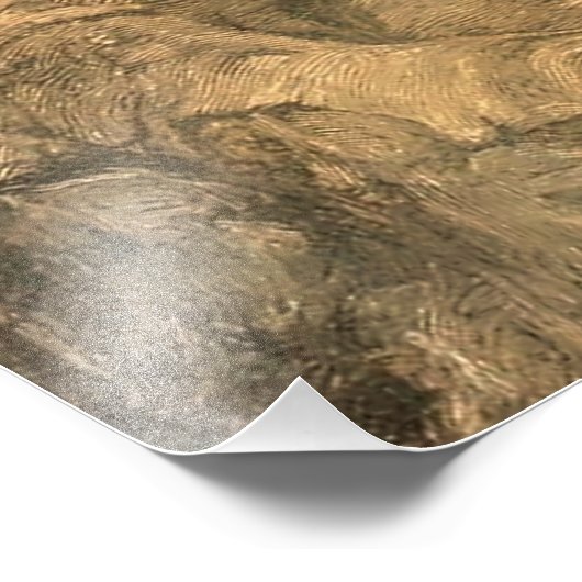 "Gnome und Frog in einem Jar" von Heinrich Schlitt Fotodruck (Ecke)