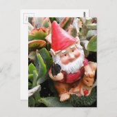 Gnome verstecken sich in den Sukkulenten Postkarte (Vorne/Hinten)