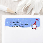 Gnome, Weihnachtsmannmütze, Schnee, Winteradresse (Insitu)