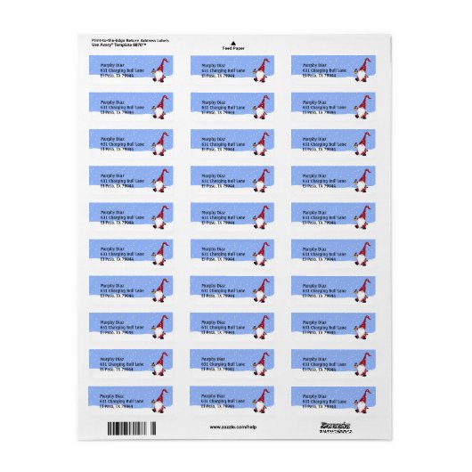 Gnome, Weihnachtsmannmütze, Schnee, Winteradresse  (Vorne)