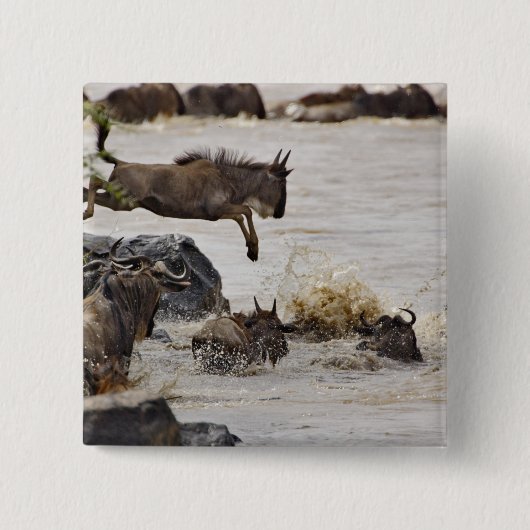 Gnu springt in den Mara-Fluss Button (Vorderseite)