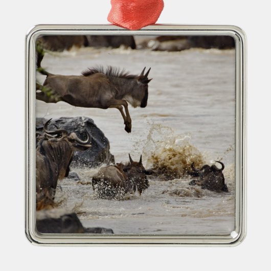 Gnu springt in den Mara-Fluss Silbernes Ornament (Vorne)