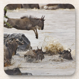 Gnu springt in den Mara-Fluss Untersetzer